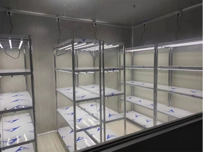 草莓视频18免费观看架