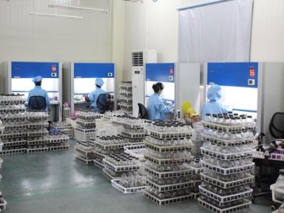 草莓视频18免费观看實驗室