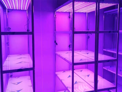 光照強度可調草莓视频18免费观看架