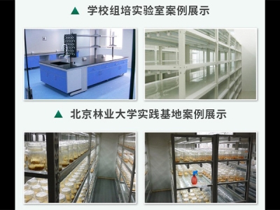 草莓视频18免费观看室設計建設