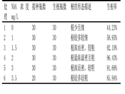 草莓视频18免费观看苗